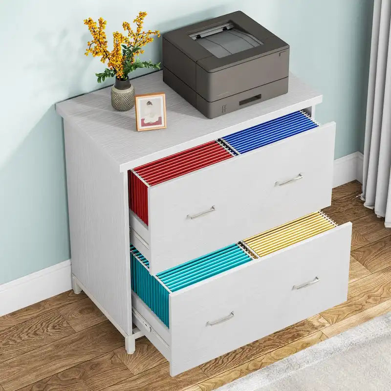 2 Drawer Lateral File Cabinet Printer Stand with Stroage